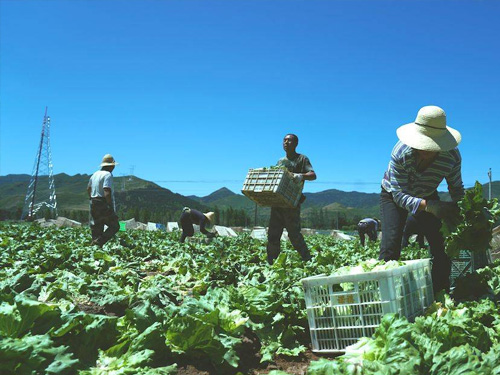 打通農村商(shāng)貿流通堵點 暢通城鄉經濟循環